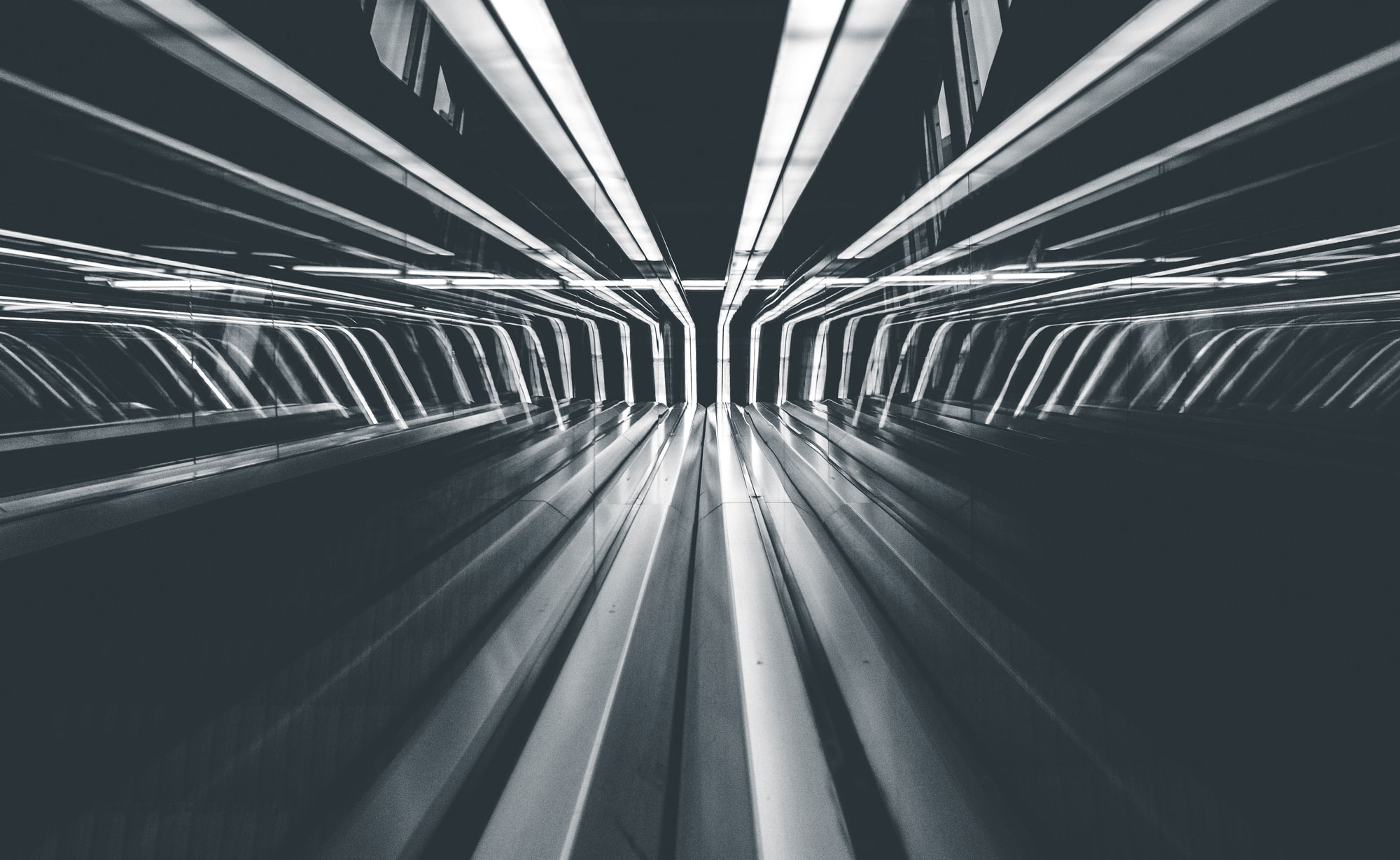 lights